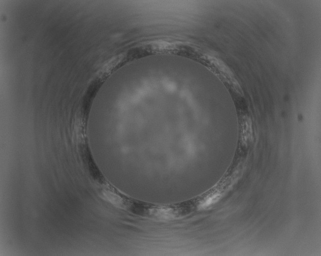 X0000051240419200506171115