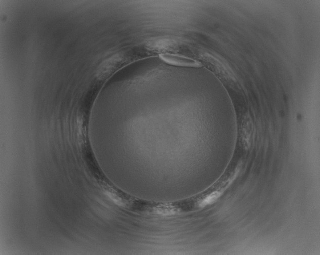 X0000051240420200506171115