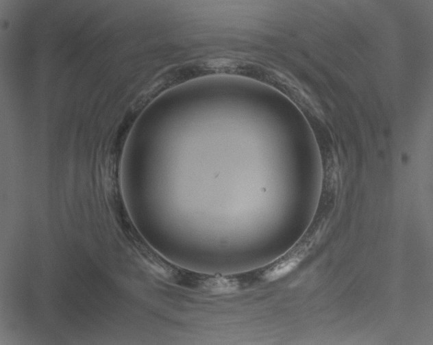 X0000051240421200506171115