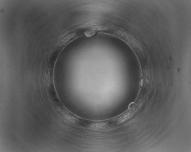 X0000051240422200506171115