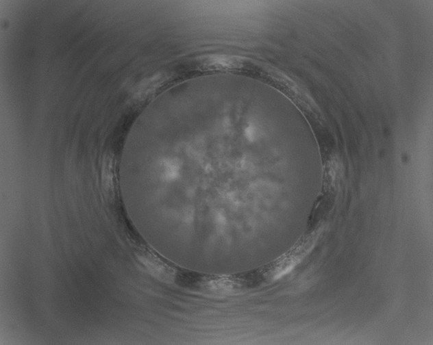 X0000051240423200506171115