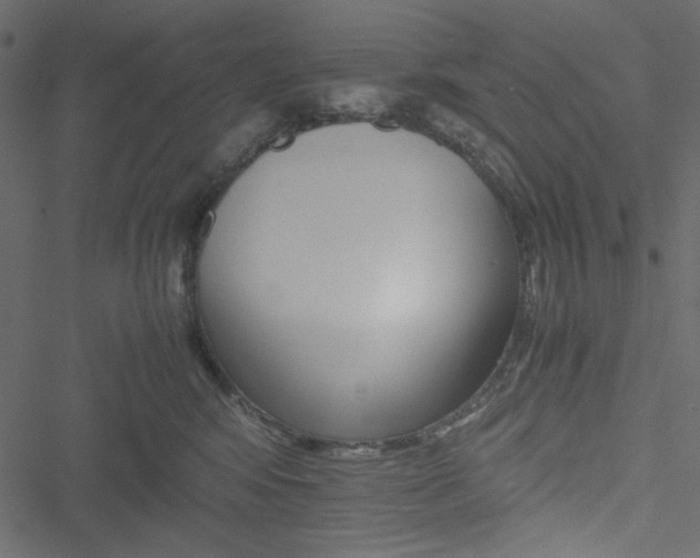 X0000051240424200506171115