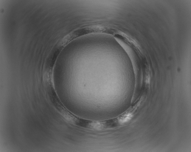 X0000051240425200506171115