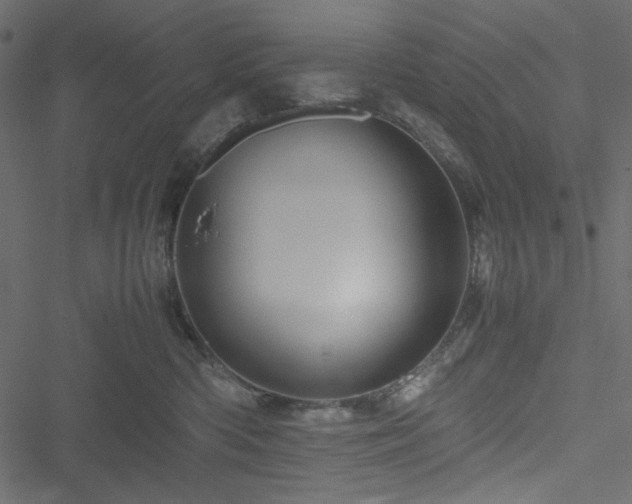 X0000051240426200506171115