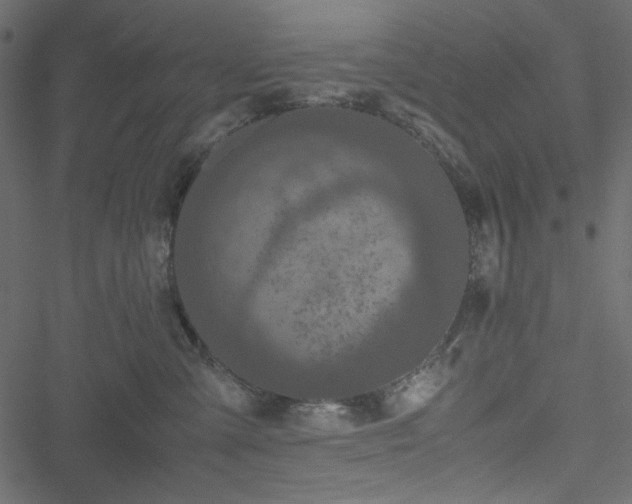 X0000051240427200506171115