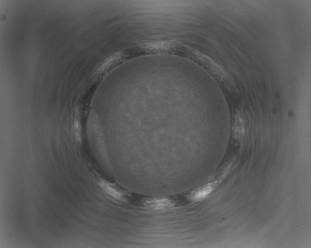 X0000051240428200506171115