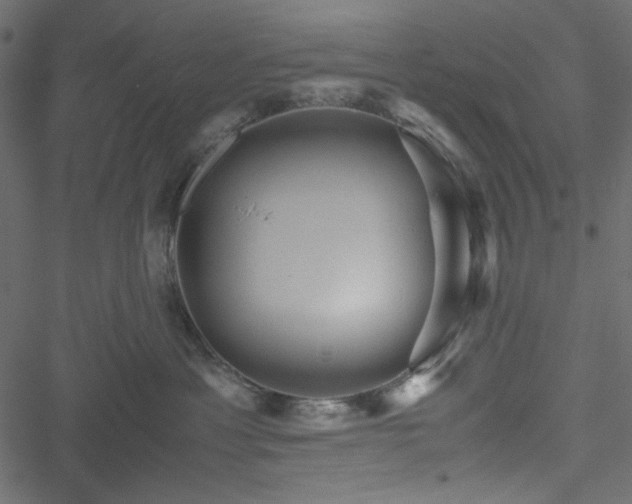 X0000051240429200506171115