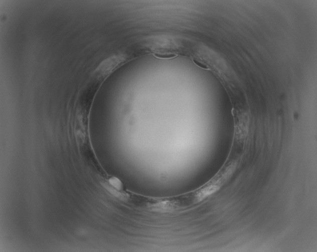 X0000051240430200506171115