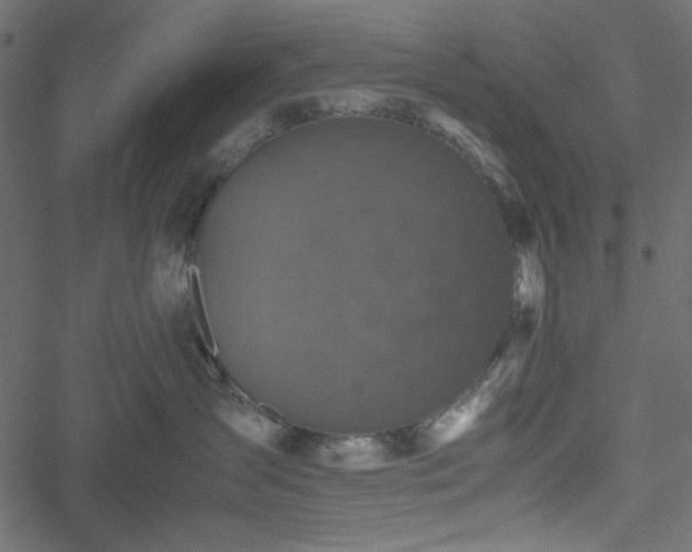 X0000051240431200506171115