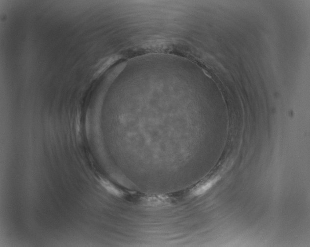 X0000051240432200506171115