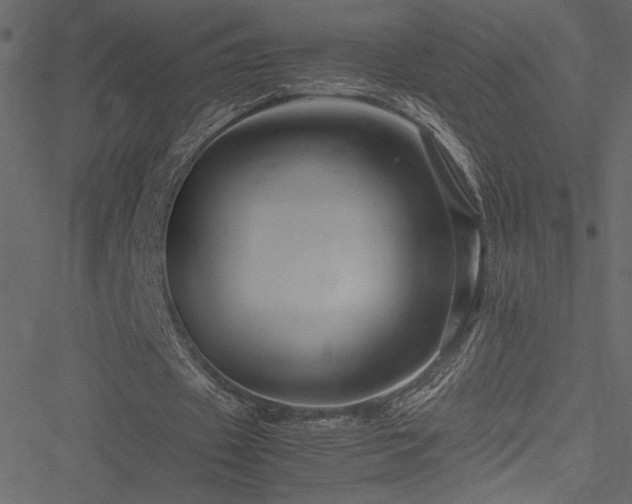 X0000051240433200506171114