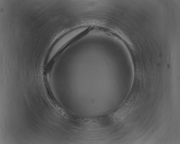 X0000051240434200506171114