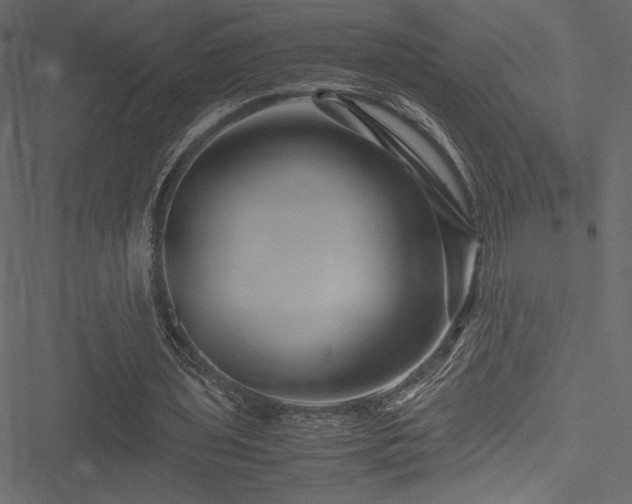 X0000051240435200506171114