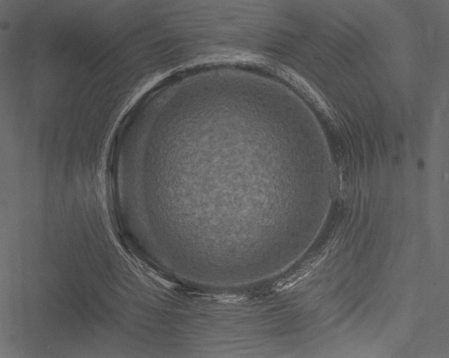 X0000051240436200506171114