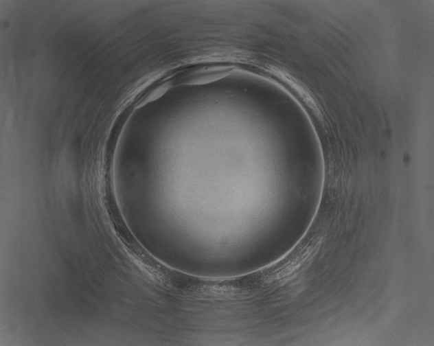 X0000051240437200506171114