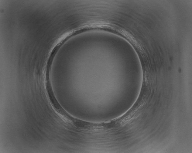 X0000051240438200506171114