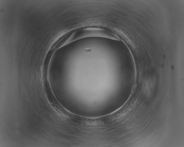 X0000051240439200506171114