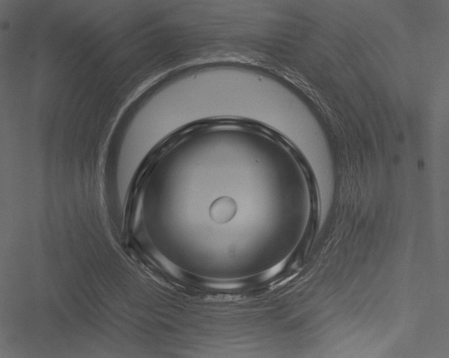 X0000051240440200506171114