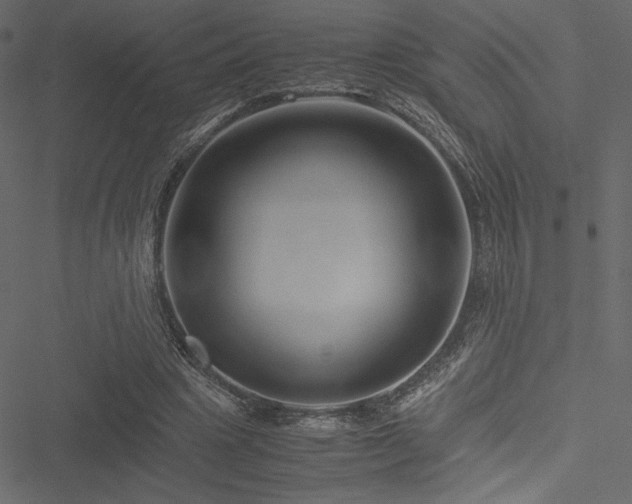 X0000051240441200506171114