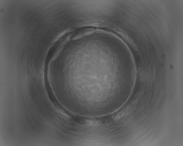 X0000051240442200506171114