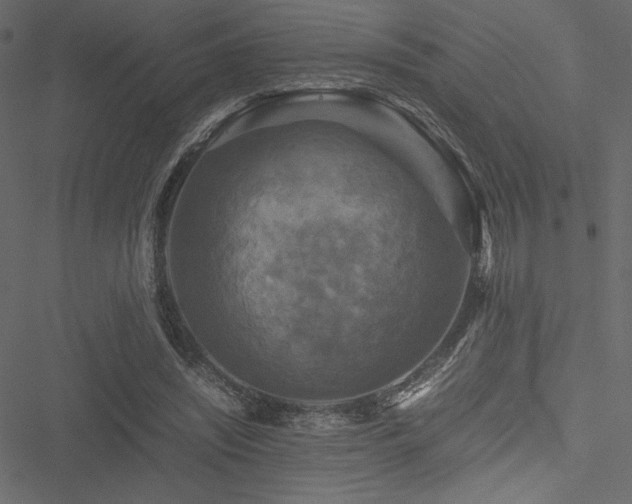 X0000051240444200506171114