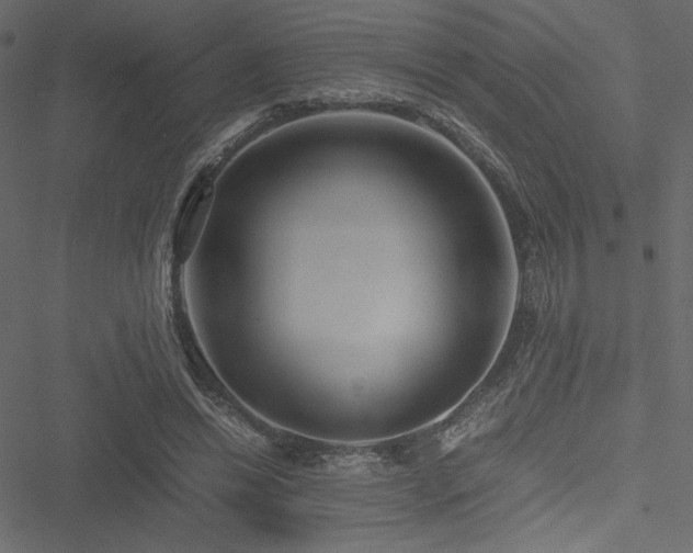 X0000051240446200506171114