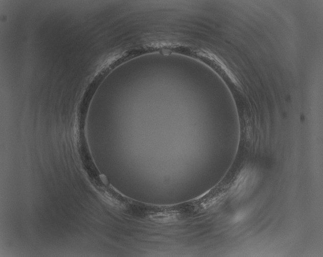 X0000051240447200506171114