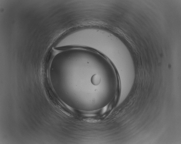 X0000051240448200506171114