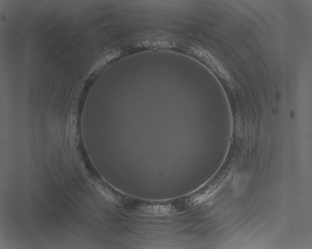 X0000051240449200506171114