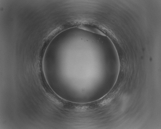 X0000051240450200506171114