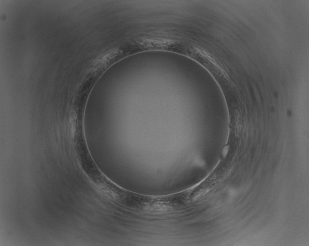 X0000051240451200506171114