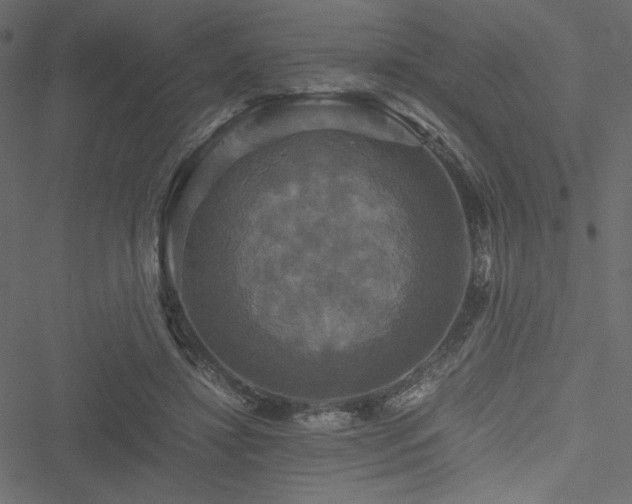 X0000051240452200506171114