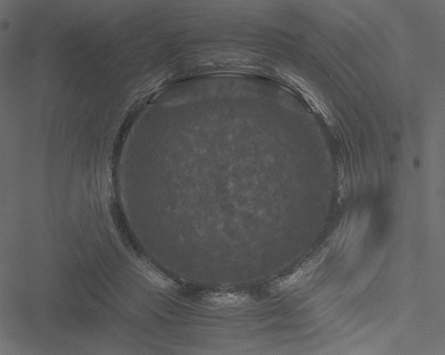 X0000051240453200506171114