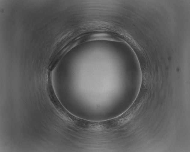 X0000051240454200506171114