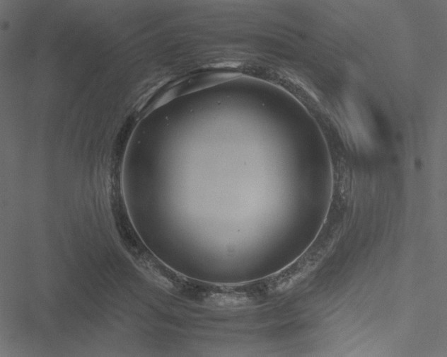 X0000051240455200506171114