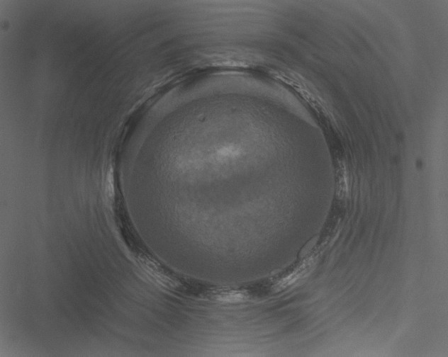 X0000051240456200506171114