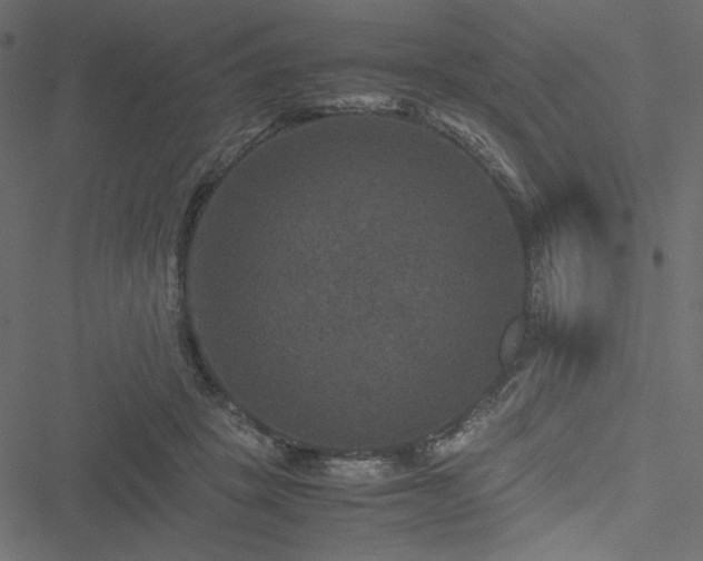 X0000051240457200506171114