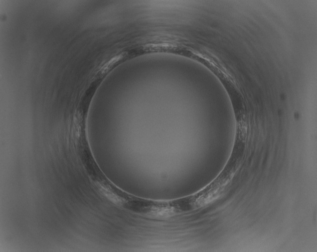 X0000051240458200506171114