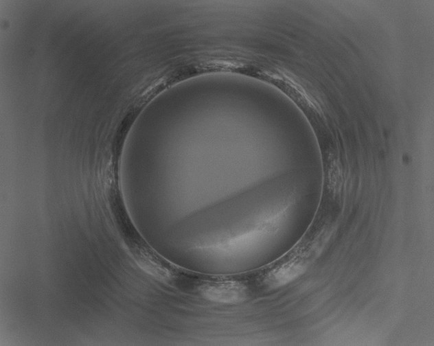 X0000051240459200506171114