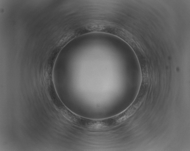 X0000051240460200506171114