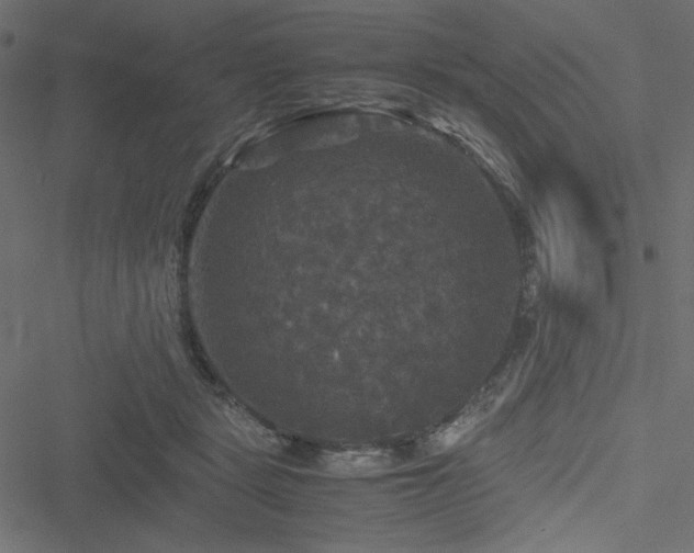 X0000051240461200506171114