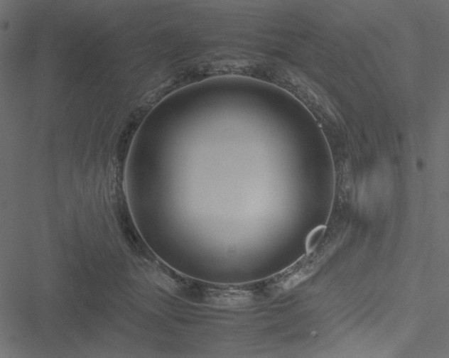 X0000051240463200506171114