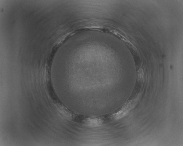 X0000051240464200506171115