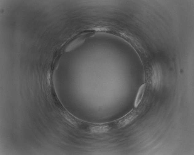 X0000051240465200506171115