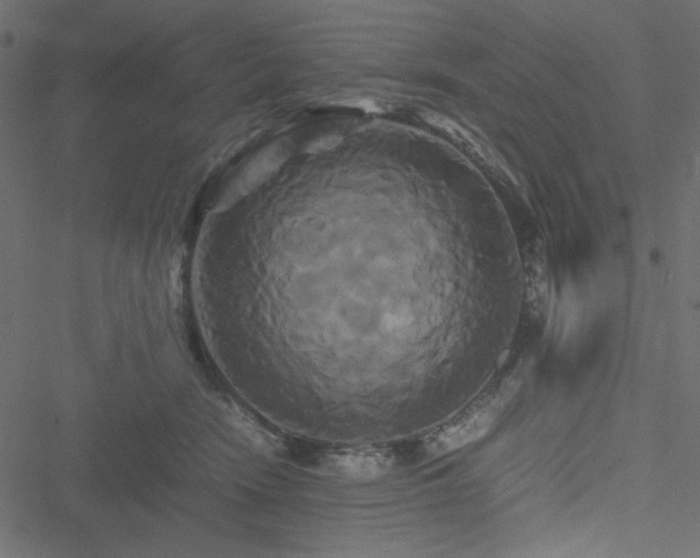 X0000051240466200506171115