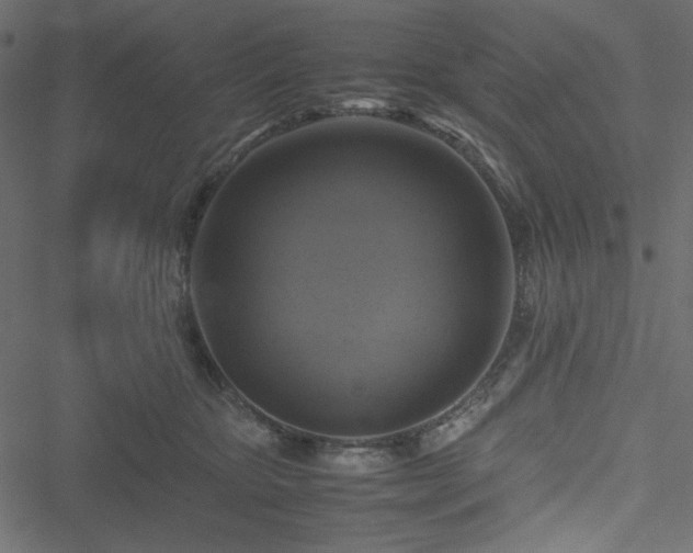 X0000051240467200506171115