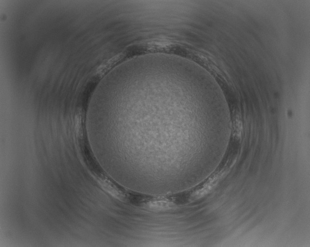 X0000051240468200506171115