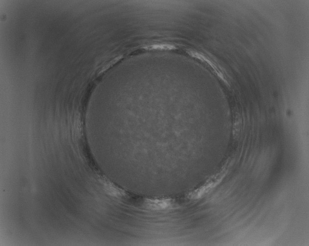 X0000051240469200506171115