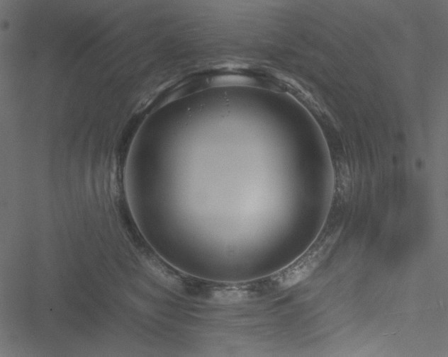 X0000051240470200506171115