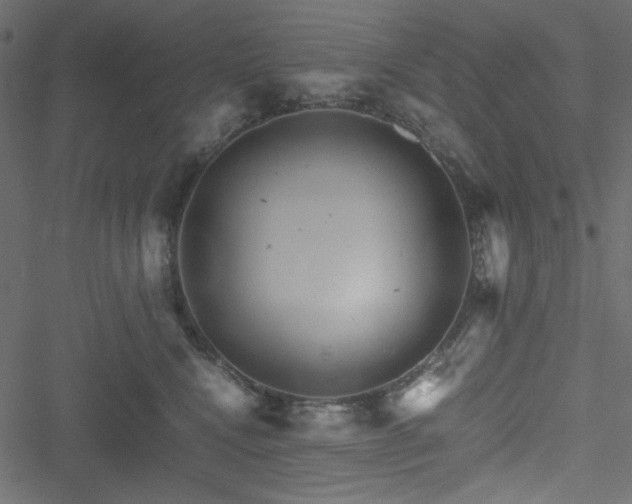 X0000051240472200506171115